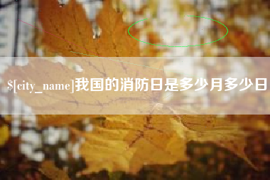 范县我国的消防日是多少月多少日