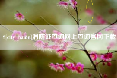 范县消防证查询网上查询官网下载