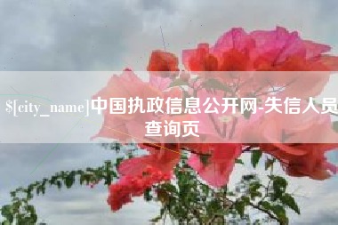 范县中国执政信息公开网-失信人员查询页