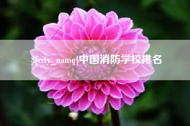 范县中国消防学校排名