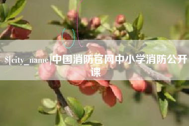 范县中国消防官网中小学消防公开课