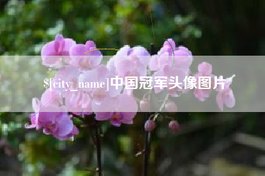 范县中国冠军头像图片