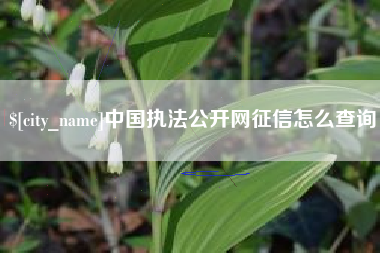 范县中国执法公开网征信怎么查询