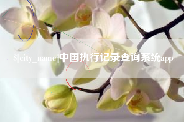 范县中国执行记录查询系统app