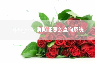范县消防证怎么查询系统
