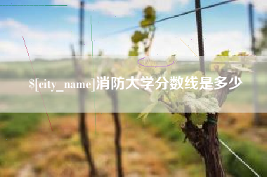范县消防大学分数线是多少