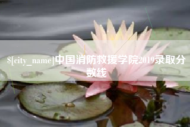 范县中国消防救援学院2019录取分数线
