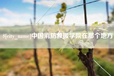 范县中国消防救援学院在那个地方