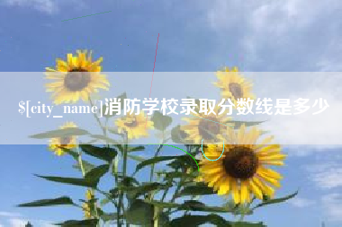 范县消防学校录取分数线是多少