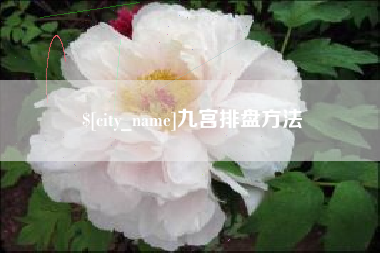 范县九宫排盘方法