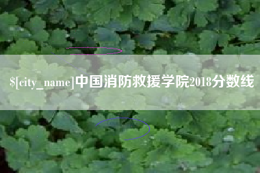 范县中国消防救援学院2018分数线