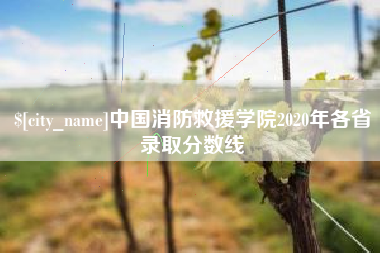 范县中国消防救援学院2020年各省录取分数线