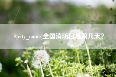 范县全国消防日是第几天？