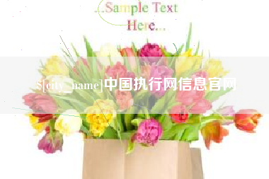 范县中国执行网信息官网
