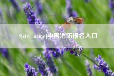 范县中国消防报名入口