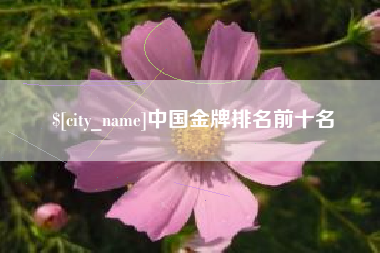 范县中国金牌排名前十名