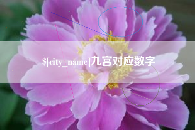 范县九宫对应数字