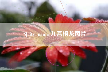 范县九宫格龙图片