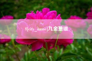 范县九金是谁