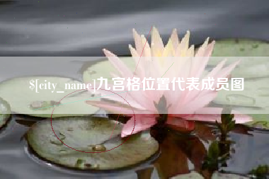 范县九宫格位置代表成员图