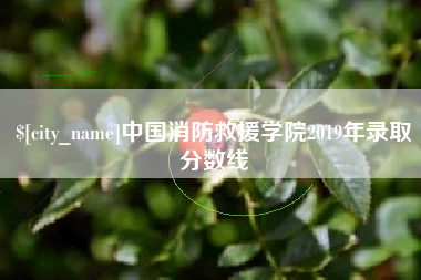 范县中国消防救援学院2019年录取分数线
