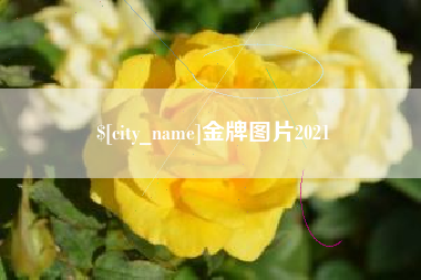 范县金牌图片2021