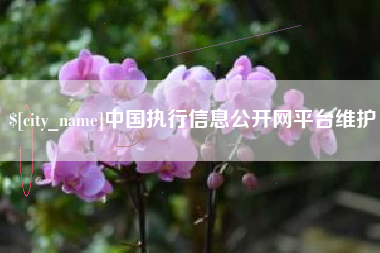 范县中国执行信息公开网平台维护