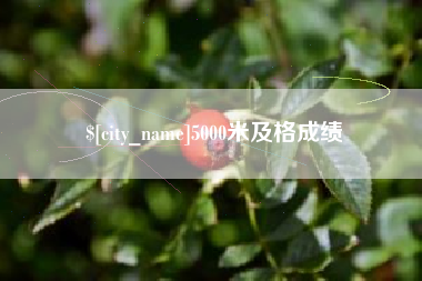 范县5000米及格成绩