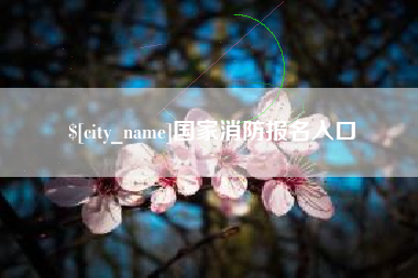 范县国家消防报名入口