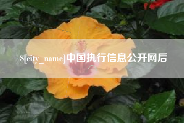 范县中国执行信息公开网后