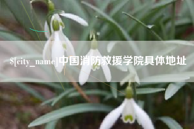 范县中国消防救援学院具体地址