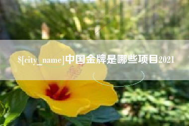范县中国金牌是哪些项目2021