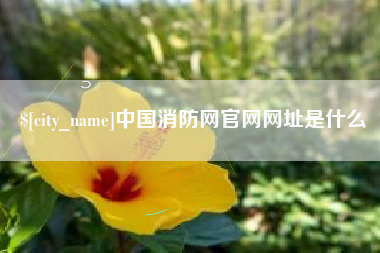 范县中国消防网官网网址是什么
