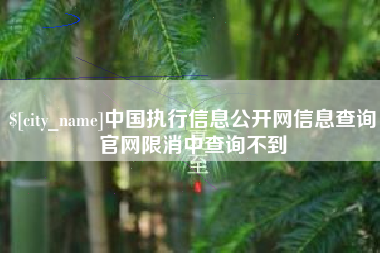 范县中国执行信息公开网信息查询官网限消中查询不到