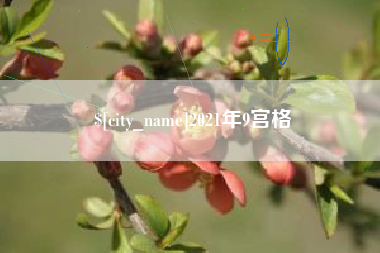 范县2021年9宫格