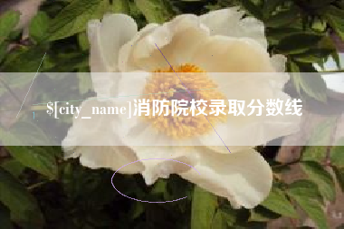 范县消防院校录取分数线