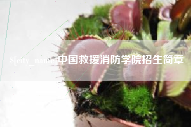 范县中国救援消防学院招生简章