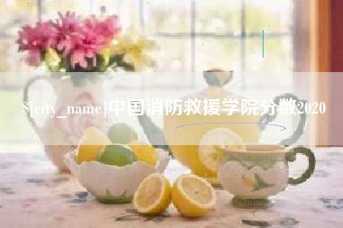 范县中国消防救援学院分数2020