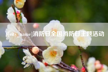 范县消防日全国消防日主题活动