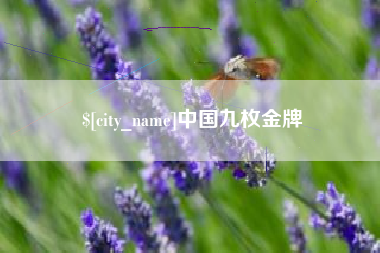 范县中国九枚金牌