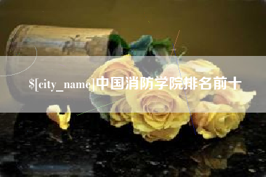 范县中国消防学院排名前十