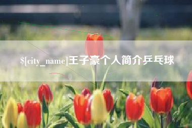 范县王子豪个人简介乒乓球