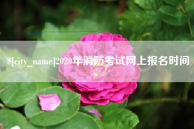 范县2020年消防考试网上报名时间