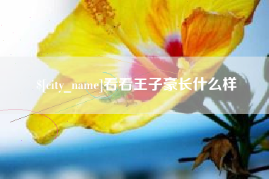 范县看看王子豪长什么样