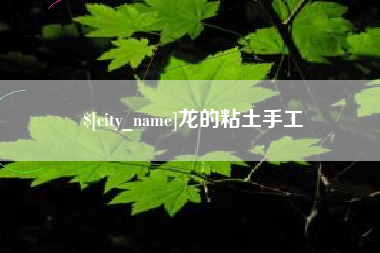 范县龙的粘土手工