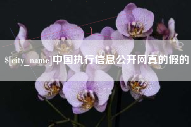 范县中国执行信息公开网真的假的