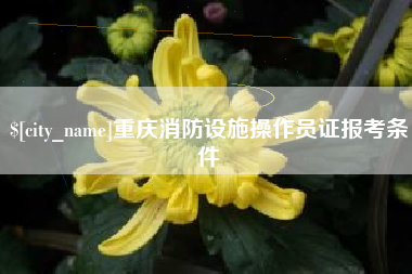 范县重庆消防设施操作员证报考条件