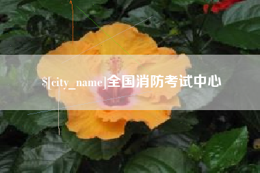 范县全国消防考试中心
