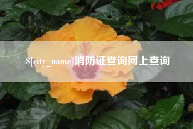 范县消防证查询网上查询