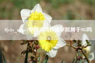 范县中国消防救援学院属于985吗